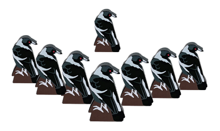 AustralianMagpie