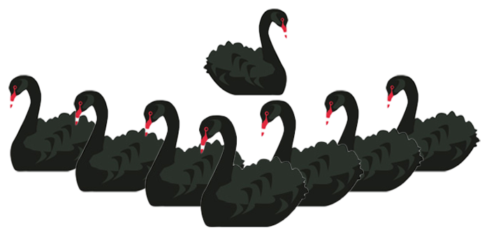 BlackSwan
