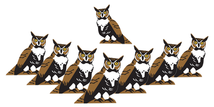 GreatHornedOwl