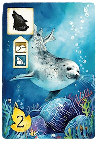 Meadow: Seal Promo Card